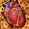 The Importance of Trans Fat Avoidance in Preventing Heart Disease