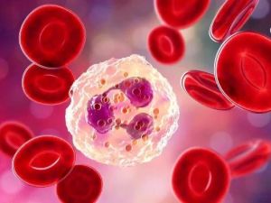 The Role of Inflammation Markers in Heart Disease Prevention and Care