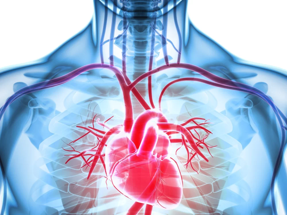 Understanding Heart Disease and the Recovery Process for Better Cardiac Health
