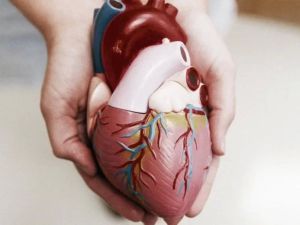 Understanding the Causes of High Blood Pressure and Its Link to Heart Disease