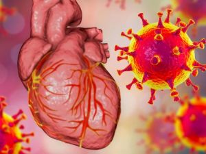 Key Causes of Heart Disease in Young Adults and How to Protect Your Heart