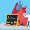 Recognizing Heart Disease and Heart Attack Warning Signs Early for Better Outcomes