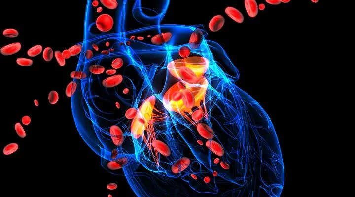 Enhancing Heart Disease Management with Supplements for Heart Health