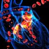 Enhancing Heart Disease Management with Supplements for Heart Health