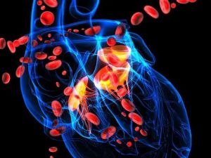 Enhancing Heart Disease Management with Supplements for Heart Health