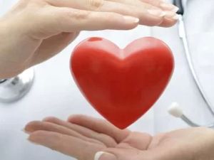 Heart Disease and the Role of Magnesium: Unlocking the Key to Cardiovascular Health