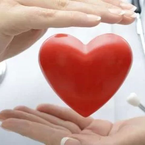 Heart Disease and the Role of Magnesium: Unlocking the Key to Cardiovascular Health