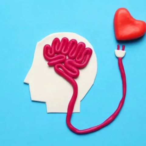 Heart Disease and Mental Health Connection: Understanding the Mind-Heart Link