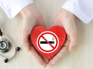 Heart Disease and Smoking Cessation Programs: How Quitting Smoking Can Transform Cardiovascular Health
