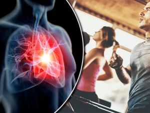 Heart Disease and the Importance of Regular Exercise: How Active Living Protects Your Heart