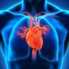 How Heart Disease Affects Your Overall Quality of Life: Impact and Solutions