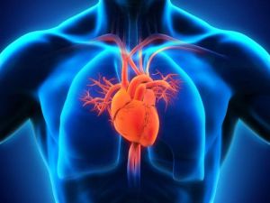How Heart Disease Affects Your Overall Quality of Life: Impact and Solutions
