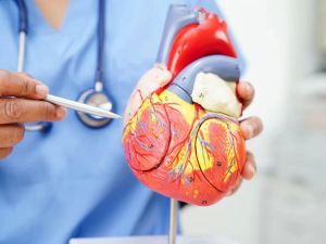 Understanding Heart Disease in Seniors: Prevention, Symptoms, and Management
