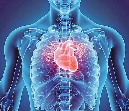 The Link Between Heart Disease and Inflammation: How Inflammation Impacts Your Heart Health
