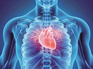 The Link Between Heart Disease and Inflammation: How Inflammation Impacts Your Heart Health
