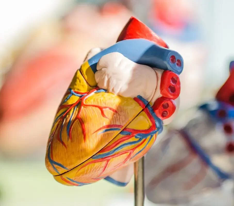 Effective Management of Heart Disease with Lifestyle Changes