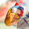 Effective Management of Heart Disease with Lifestyle Changes