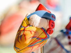 Effective Management of Heart Disease with Lifestyle Changes