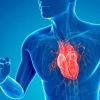 How to Improve Your Heart Health Naturally: Simple Tips and Lifestyle Changes