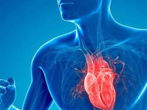 How to Improve Your Heart Health Naturally: Simple Tips and Lifestyle Changes