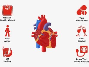 Heart Disease in Athletes: What You Need to Know About Preventing Risks