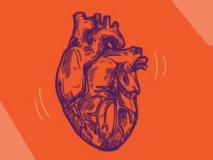 The Impact of Alcohol on Heart Disease Risk: Understanding the Link