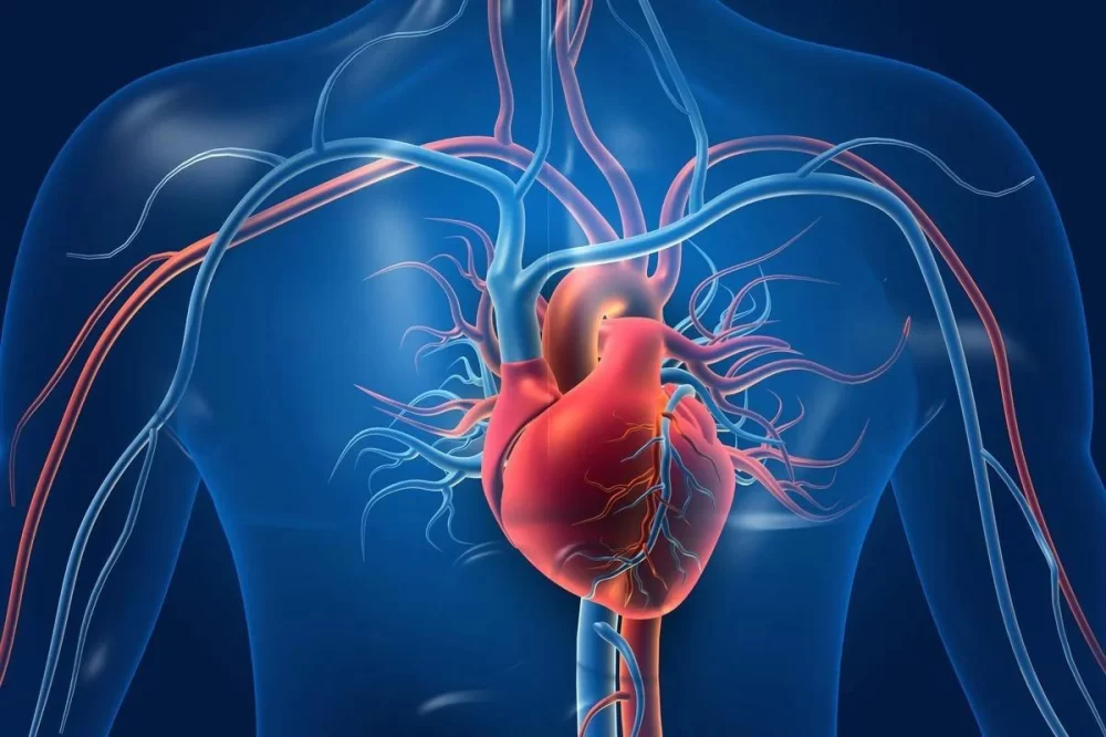 Finding the Right Balance Between Heart Disease and Physical Activity