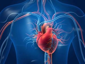Finding the Right Balance Between Heart Disease and Physical Activity