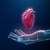 The Role of Heart Disease Education in Prevention