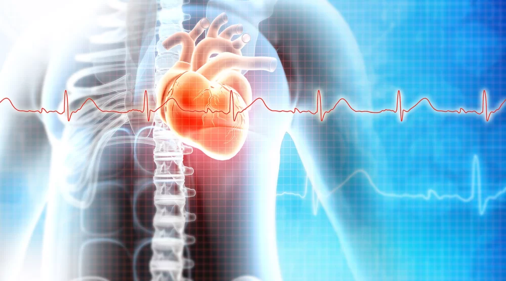 The Role of Inflammation in Heart Disease: Understanding Its Impact on Cardiovascular Health