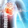 The Role of Inflammation in Heart Disease: Understanding Its Impact on Cardiovascular Health