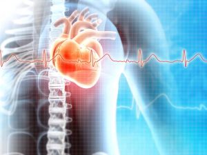 The Role of Inflammation in Heart Disease: Understanding Its Impact on Cardiovascular Health