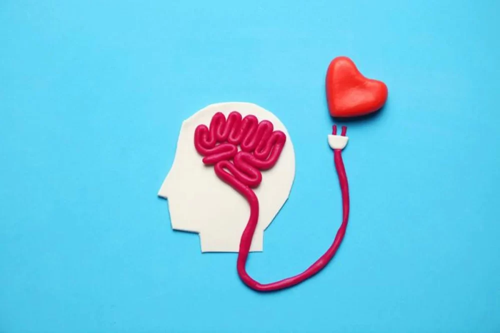 Understanding the Link Between Heart Disease and Anxiety for Better Health