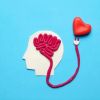 Understanding the Link Between Heart Disease and Anxiety for Better Health