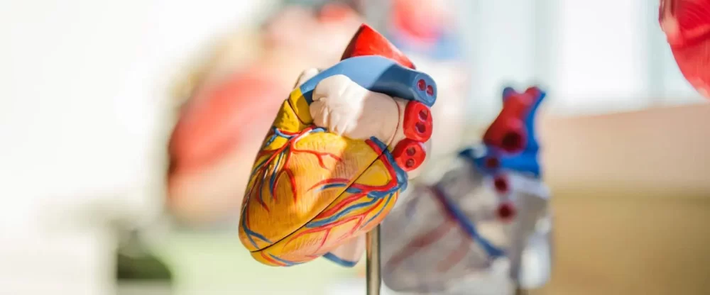 Effective Lifestyle Modification Plans for Managing Heart Disease
