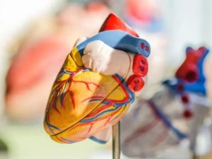 Effective Lifestyle Modification Plans for Managing Heart Disease