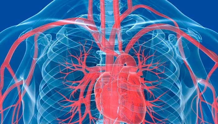 Understanding Atrial Fibrillation and Its Impact on Heart Disease Risks
