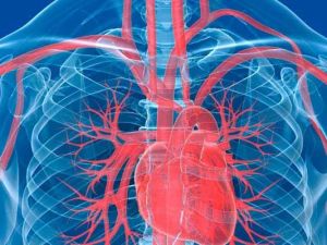 Understanding Atrial Fibrillation and Its Impact on Heart Disease Risks