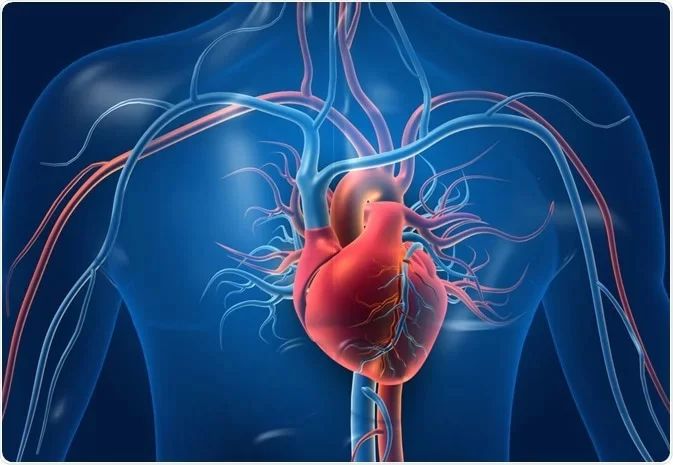 Recognizing Heart Disease and Arrhythmia Symptoms for Better Heart Health