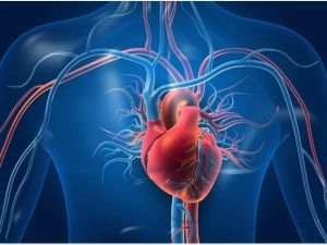 Recognizing Heart Disease and Arrhythmia Symptoms for Better Heart Health