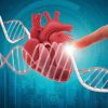 Understanding Heart Disease and the Role of Genetic Counseling