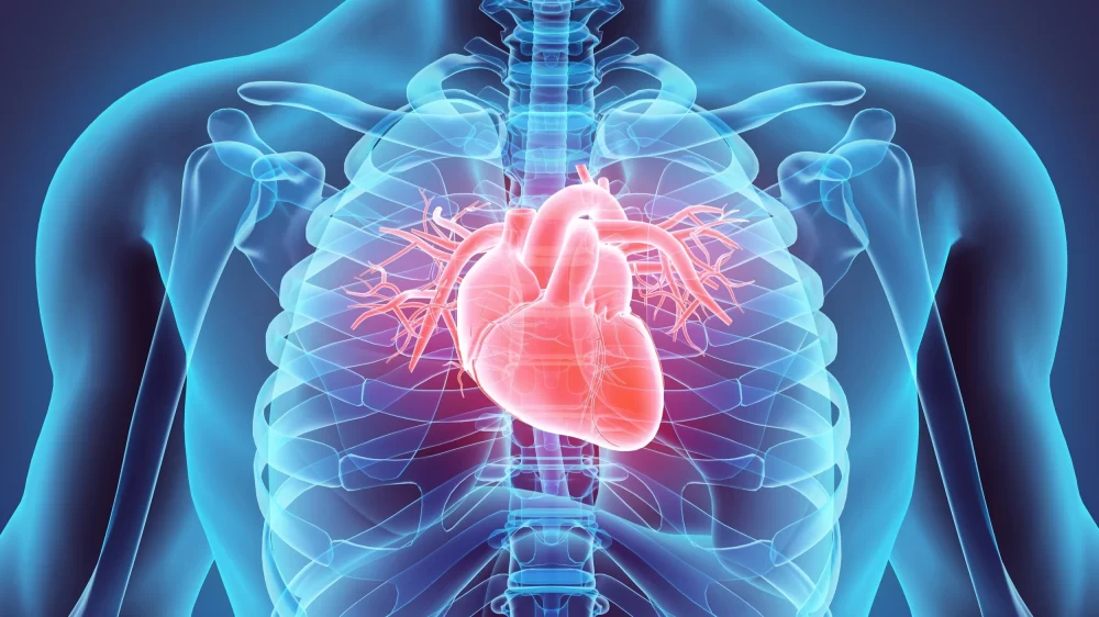 Understanding the Heart Disease and Sleep Apnea Connection: What You Need to Know