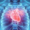 Understanding the Heart Disease and Sleep Apnea Connection: What You Need to Know