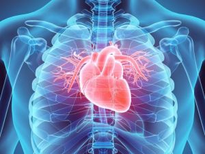 Understanding the Heart Disease and Sleep Apnea Connection: What You Need to Know