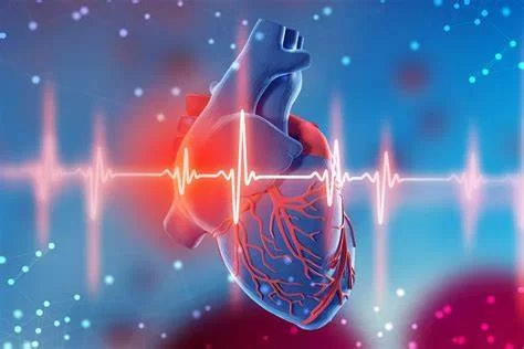 Heart Disease and Heart Rate Monitoring: Essential Insights for Better Cardiac Health