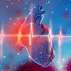Heart Disease and Heart Rate Monitoring: Essential Insights for Better Cardiac Health