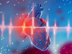 Heart Disease and Heart Rate Monitoring: Essential Insights for Better Cardiac Health