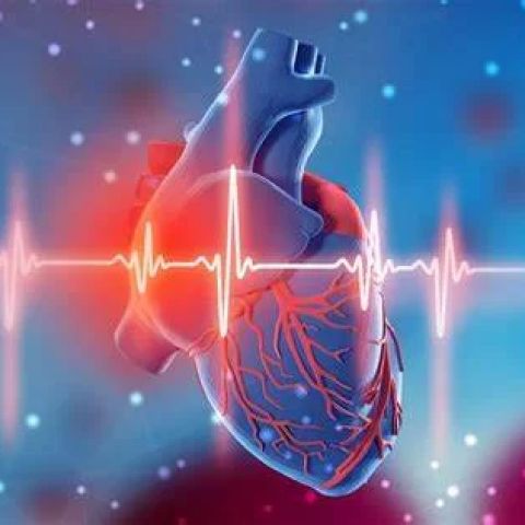 Heart Disease and Heart Rate Monitoring: Essential Insights for Better Cardiac Health