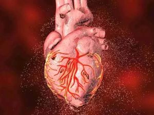 How Seasonal Changes Affect Heart Disease Risks and Cardiovascular Health