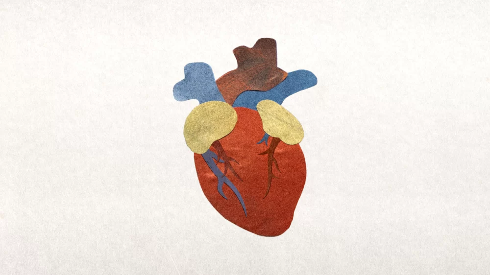 How Public Health Initiatives Are Shaping Heart Disease Prevention and Care